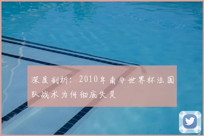 深度剖析：2010年南非世界杯法国队战术为何彻底失灵