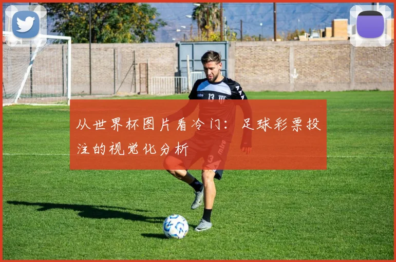 从世界杯图片看冷门：足球彩票投注的视觉化分析