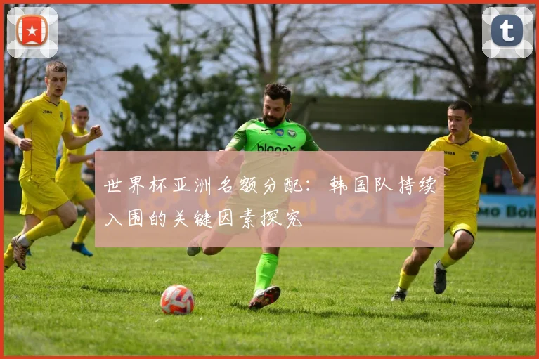 世界杯亚洲名额分配：韩国队持续入围的关键因素探究