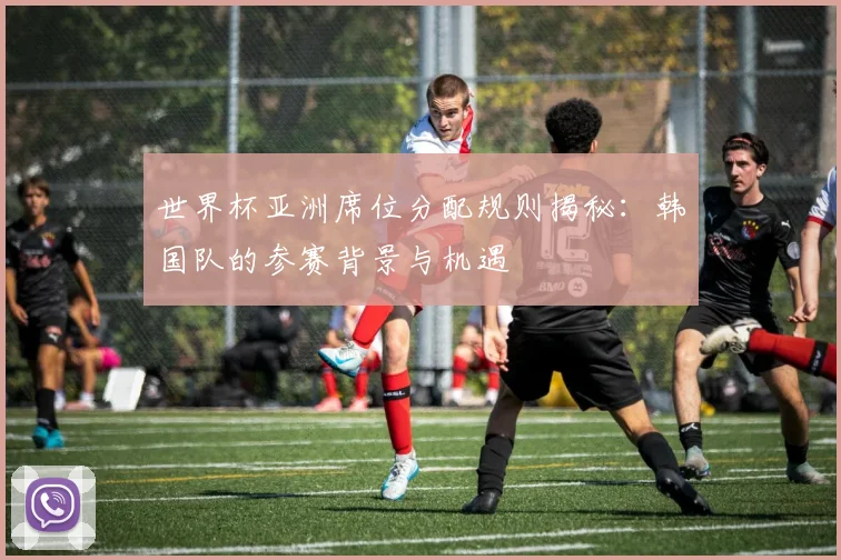 世界杯亚洲席位分配规则揭秘：韩国队的参赛背景与机遇